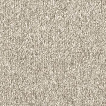 Draufsicht auf Vorwerk Celina 8L50 beige Teppichboden mit Preisschild 79,95 €/m²